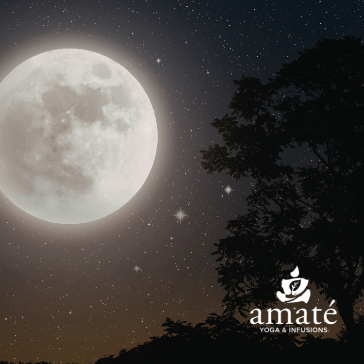 Full Moon Ceremony et Voyage sonore